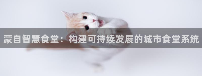 尊龙人生就是博旗舰厅