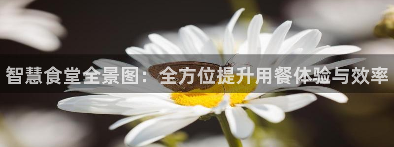尊龙网站登录