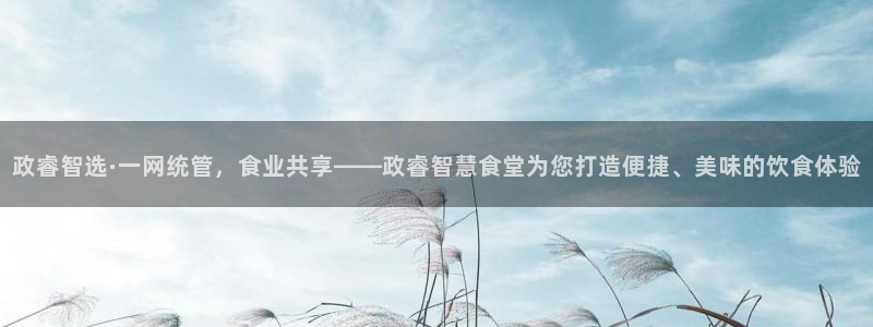 尊龙王t400