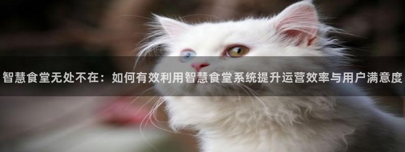 尊龙凯时干什么的