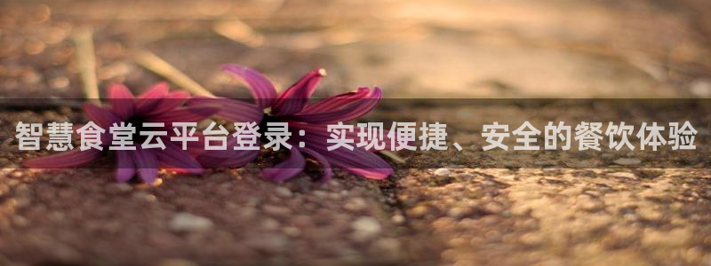 尊龙游戏官方网