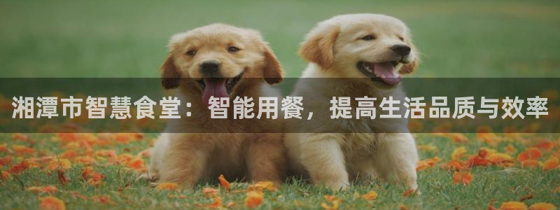 尊龙凯时网站赌愽是真的吗