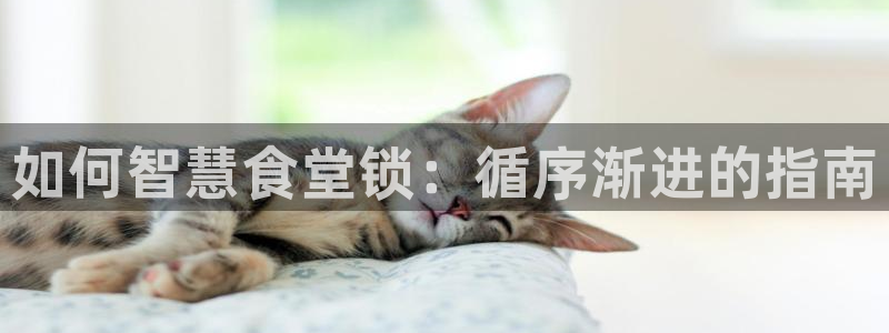 尊龙d88官网选RA来就送38