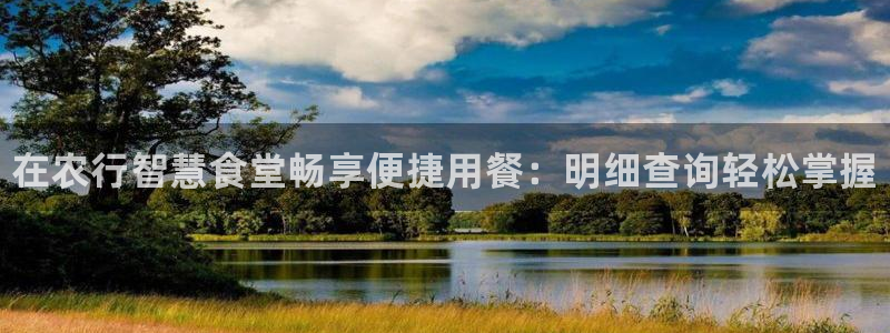 尊龙凯时麻将胡了：在农行智慧食堂畅享便捷用餐：明细查询轻松掌