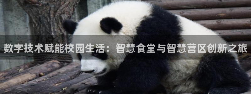 ag尊龙官方网站app：数字技术赋能校园生活：智慧食堂与智慧