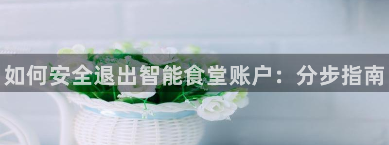 尊龙官网网站：如何安全退出智能食堂账户：分步指南