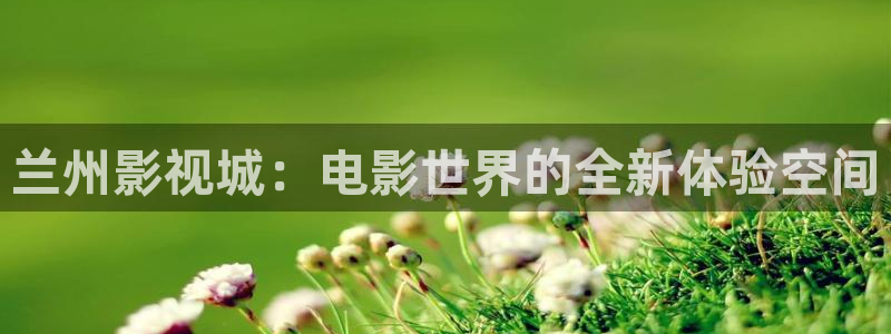 老司机影院免费看：兰州影视城：电影世界的全新体验空间