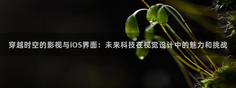老司机免费福利影院：穿越时空的影视与iOS界面：未来科技在视觉设计中的魅力和挑战